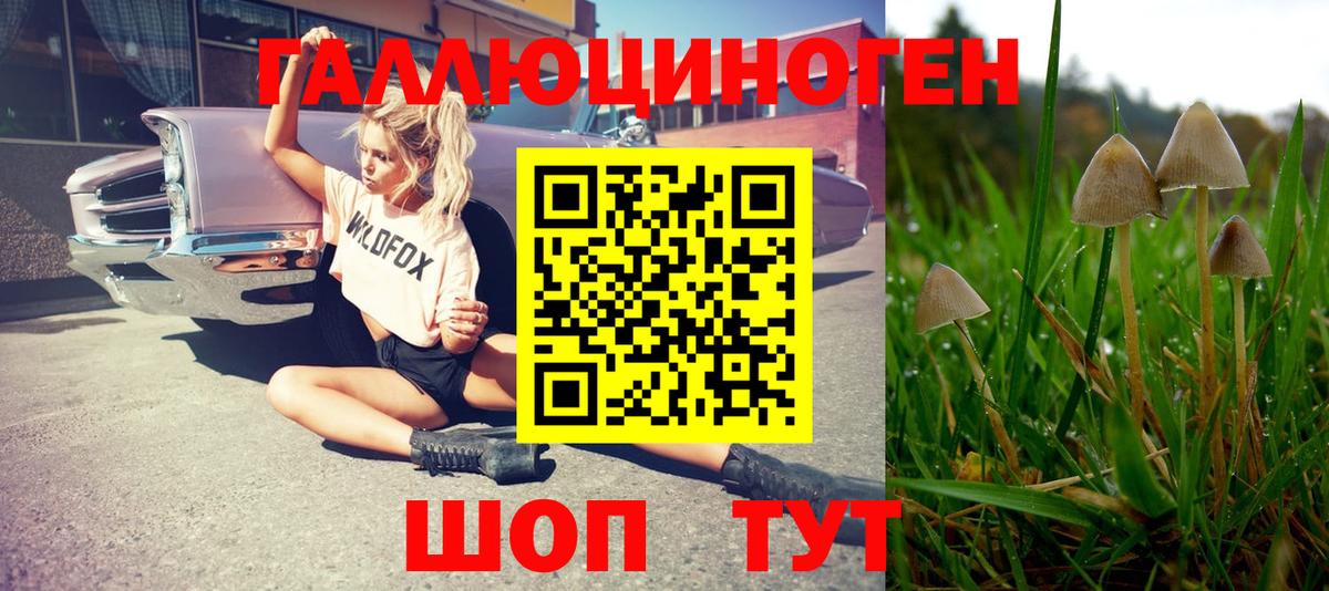 Галлюциногенные грибы Psilocybine cubensis Воскресенск