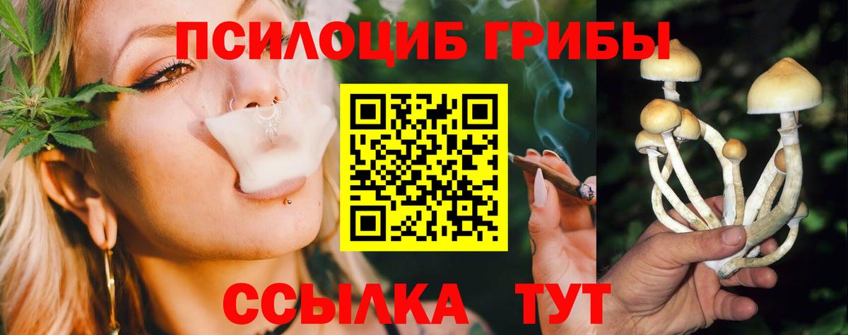 Галлюциногенные грибы Psilocybe  Вход с VPN  Воскресенск 
